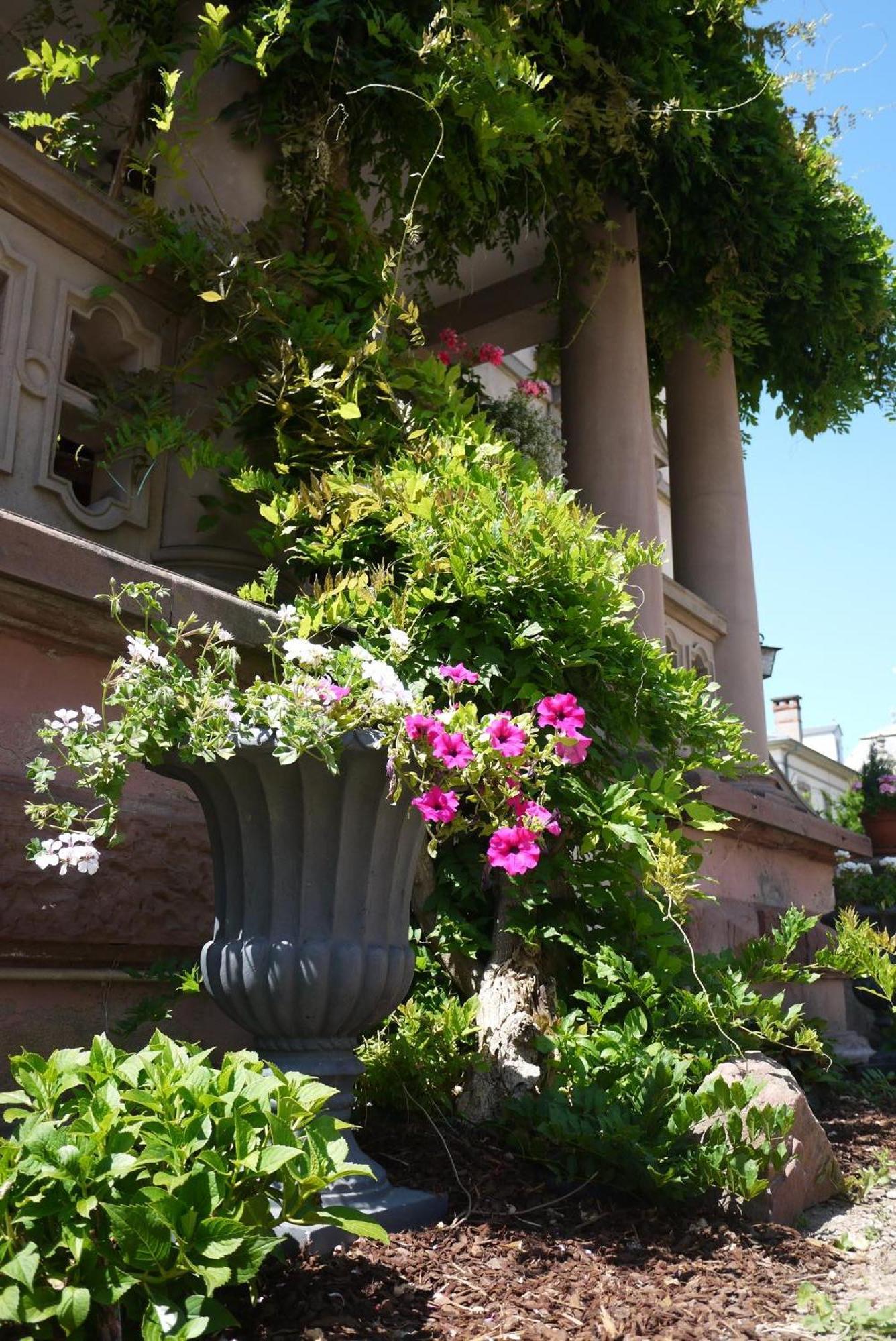 Castelnau Hotel Colmar Eksteriør billede